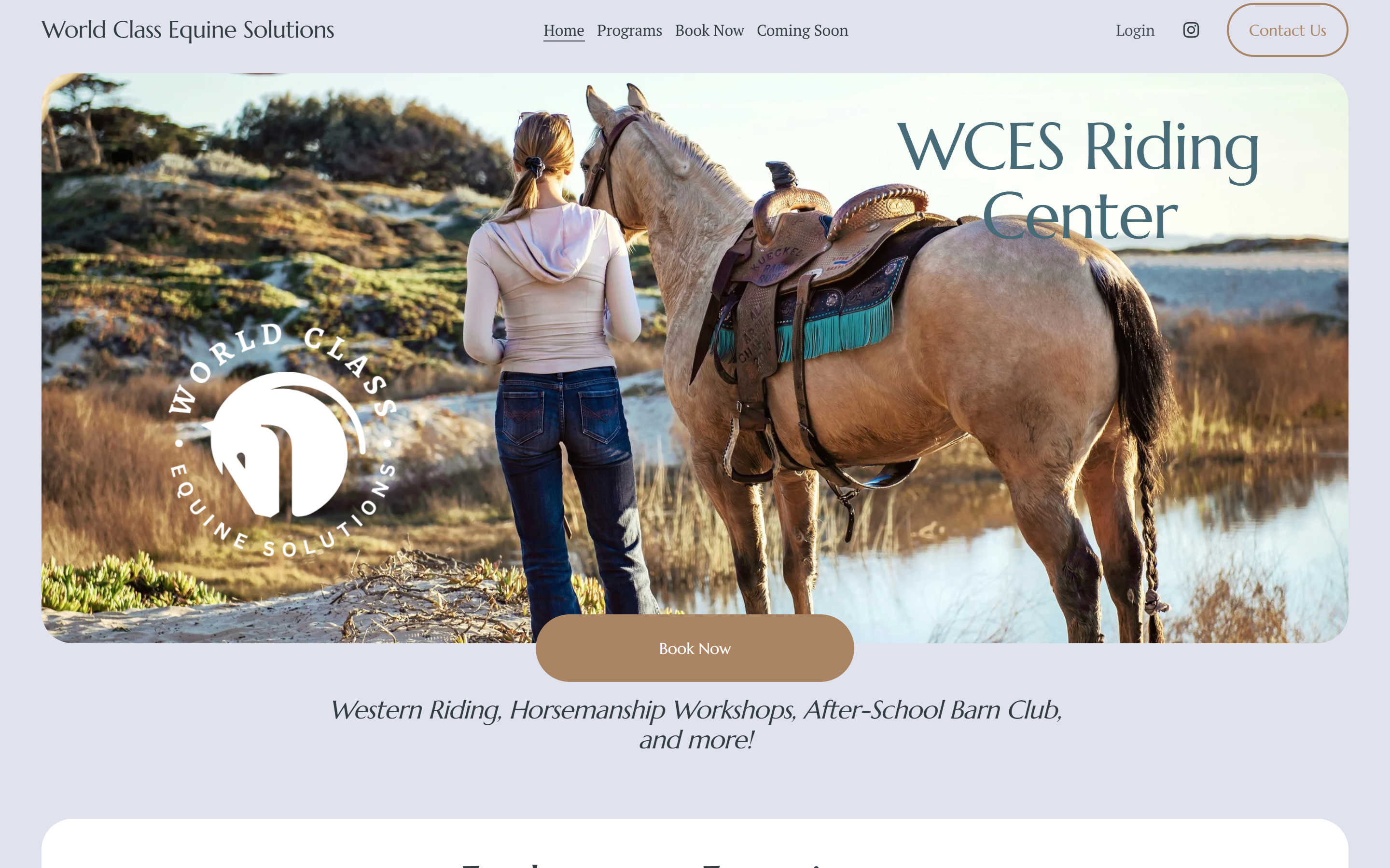 World Class Equine Solutions website showing a rider and horse